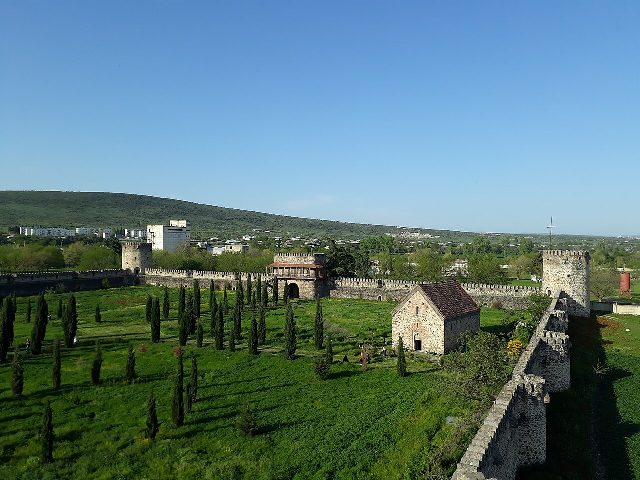 Tamarisi