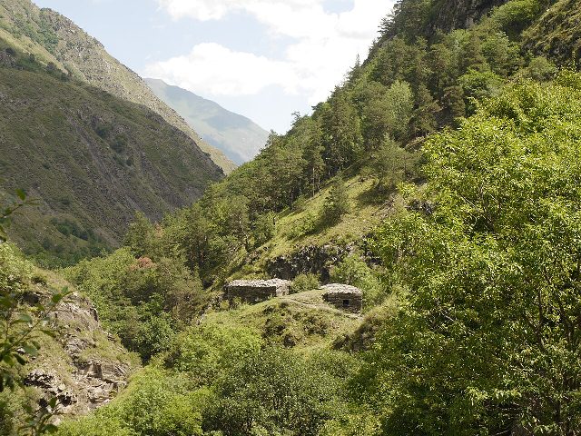 Anatori