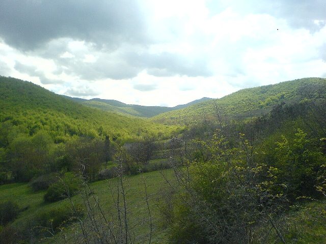 Tibaani