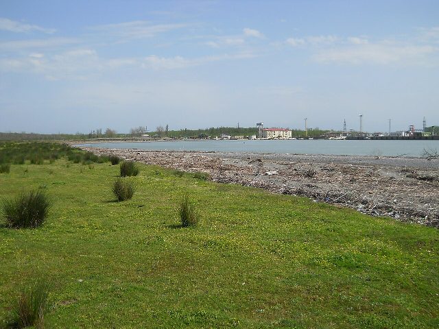 Kulevi
