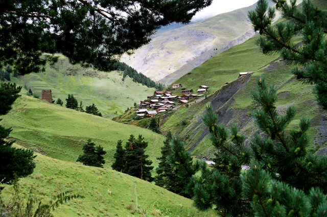 Jvarboseli
