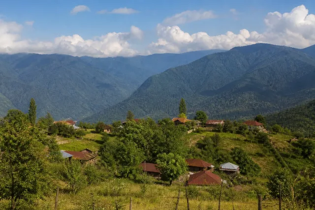 Vardisubani